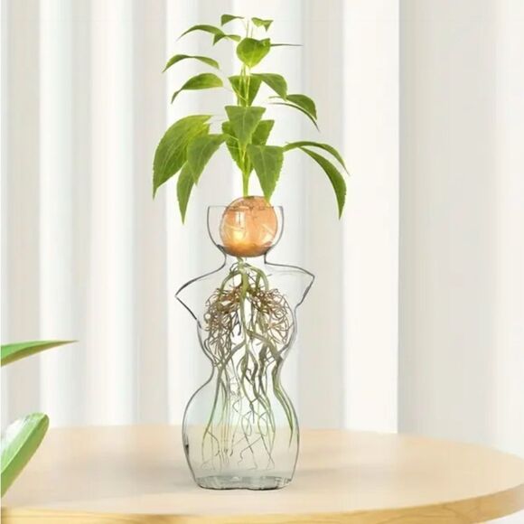 Other - Elegant Glass Vase with Green Plant